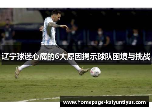 辽宁球迷心痛的6大原因揭示球队困境与挑战