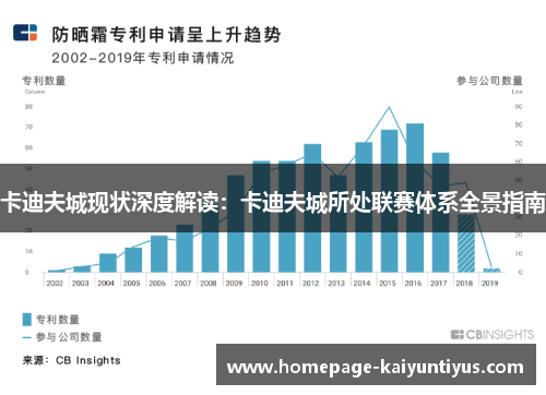 卡迪夫城现状深度解读:卡迪夫城所处联赛体系全景指南 卡迪夫城现状深度解读:卡迪夫城所处联赛体系全景指南