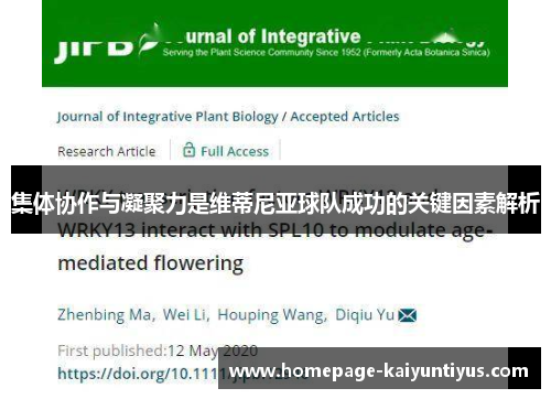 集体协作与凝聚力是维蒂尼亚球队成功的关键因素解析