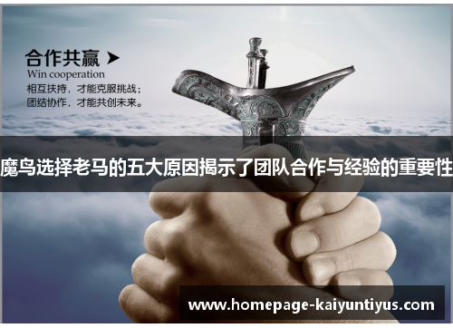 魔鸟选择老马的五大原因揭示了团队合作与经验的重要性 魔鸟选择老马的五大原因揭示了团队合作与经验的重要性